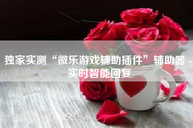 独家实测“微乐游戏辅助插件”辅助器 - 实时智能回复