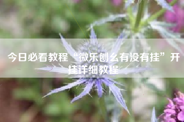 今日必看教程“微乐刨幺有没有挂”开挂详细教程