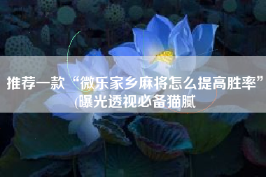 推荐一款“微乐家乡麻将怎么提高胜率”(曝光透视必备猫腻