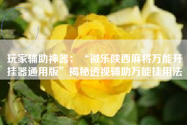 玩家辅助神器：“微乐陕西麻将万能开挂器通用版”揭秘透视辅助万能挂用法