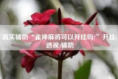 真实辅助“雀神麻将可以开挂吗?	”开挂(透视)辅助