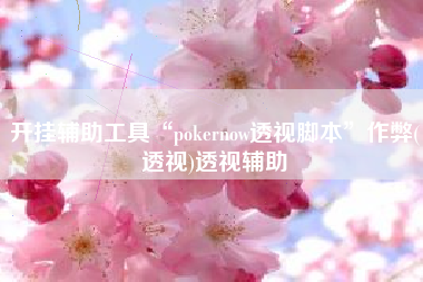 开挂辅助工具“pokernow透视脚本”作弊(透视)透视辅助