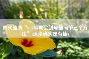 真实辅助“wpk辅助会封号最简单三个方法”(原来确实是有挂)