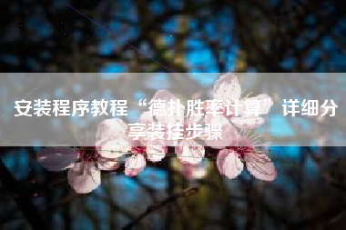 安装程序教程“德扑胜率计算”详细分享装挂步骤