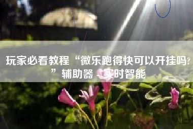 玩家必看教程“微乐跑得快可以开挂吗?”辅助器 - 实时智能