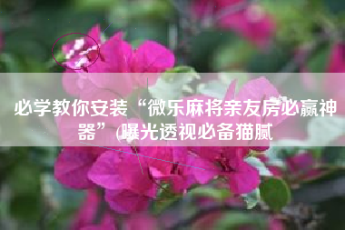 必学教你安装“微乐麻将亲友房必赢神器	”(曝光透视必备猫腻