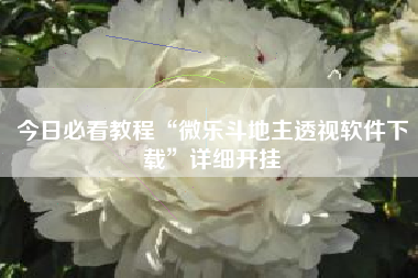 今日必看教程“微乐斗地主透视软件下载”详细开挂