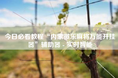 今日必看教程“内蒙微乐麻将万能开挂器	”辅助器 - 实时智能