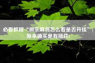 必看教程“微乐麻将怎么看是否开挂”(原来确实是有插件)