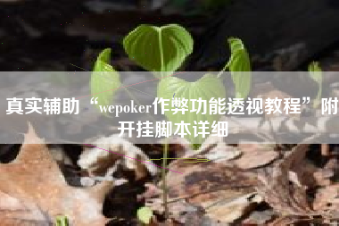 真实辅助“wepoker作弊功能透视教程	”附开挂脚本详细