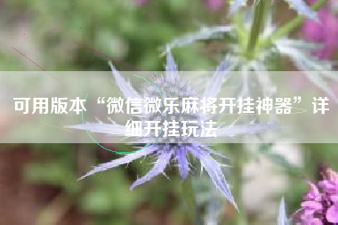 可用版本“微信微乐麻将开挂神器	”详细开挂玩法