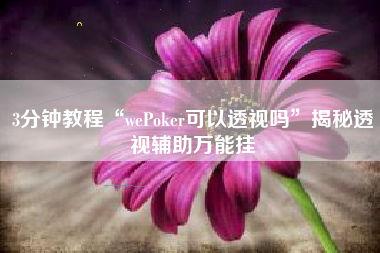 3分钟教程“wePoker可以透视吗	”揭秘透视辅助万能挂