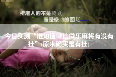 今日实测“谁知道微信微乐麻将有没有挂”(原来确实是有挂)
