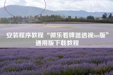 安装程序教程“微乐看牌器透视ios版”通用版下载教程