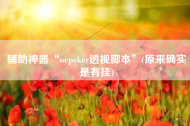 辅助神器“wepoker透视脚本”(原来确实是有挂)