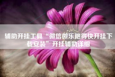 辅助开挂工具“微信微乐跑得快开挂下载安装	”开挂辅助详细