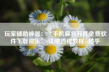 玩家辅助神器：“手机麻将开挂免费软件下载微乐”(详细透视教程)-知乎