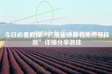 今日必看教程“广东雀神麻将免费开挂器	”详细分享装挂