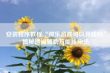 安装程序教程“微乐游戏可以开挂吗	”揭秘透视辅助万能挂用法