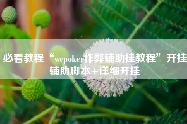 必看教程“wepoker作弊辅助挂教程”开挂辅助脚本+详细开挂