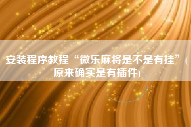 安装程序教程“微乐麻将是不是有挂	”(原来确实是有插件)