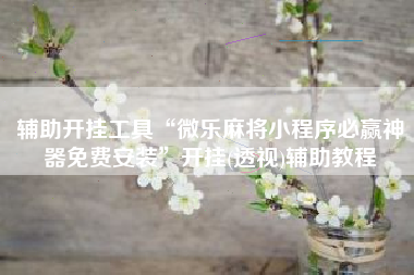 辅助开挂工具“微乐麻将小程序必赢神器免费安装”开挂(透视)辅助教程