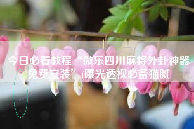 今日必看教程“微乐四川麻将外卦神器免费安装”(曝光透视必备猫腻