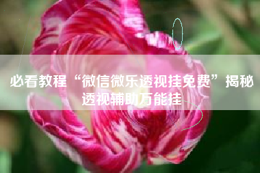 必看教程“微信微乐透视挂免费”揭秘透视辅助万能挂