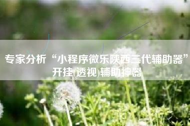 专家分析“小程序微乐陕西三代辅助器”开挂(透视)辅助神器
