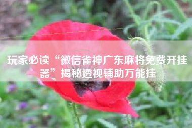 玩家必读“微信雀神广东麻将免费开挂器”揭秘透视辅助万能挂