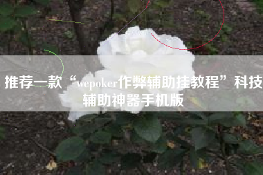 推荐一款“wepoker作弊辅助挂教程”科技辅助神器手机版