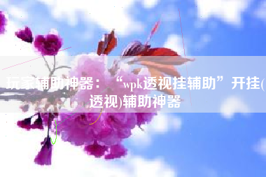 玩家辅助神器：“wpk透视挂辅助”开挂(透视)辅助神器