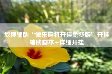 教程辅助“微乐麻将开挂免费版	”开挂辅助脚本+详细开挂