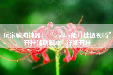 玩家辅助神器：“wepoker能开挂透视吗”开挂辅助脚本+详细开挂