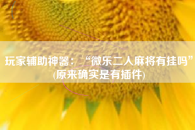 玩家辅助神器：“微乐二人麻将有挂吗	”(原来确实是有插件)