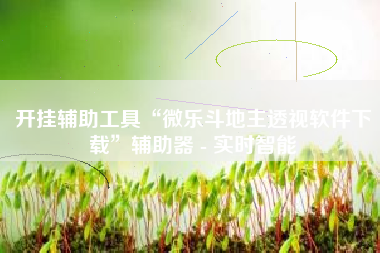 开挂辅助工具“微乐斗地主透视软件下载”辅助器 - 实时智能