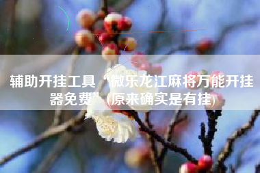 辅助开挂工具“微乐龙江麻将万能开挂器免费”(原来确实是有挂)