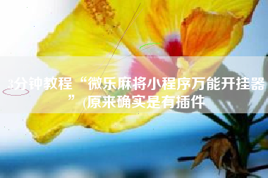 3分钟教程“微乐麻将小程序万能开挂器	”(原来确实是有插件