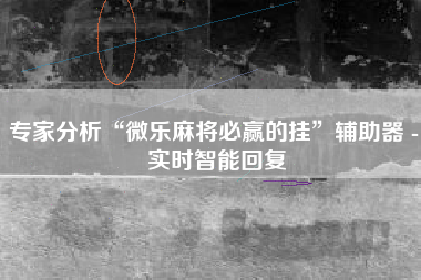 专家分析“微乐麻将必赢的挂”辅助器 - 实时智能回复