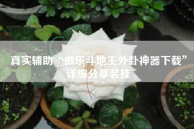 真实辅助“微乐斗地主外卦神器下载”详细分享装挂