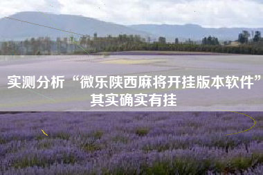 实测分析“微乐陕西麻将开挂版本软件”其实确实有挂