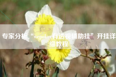 专家分析“wepoker有透视辅助挂”开挂详细教程