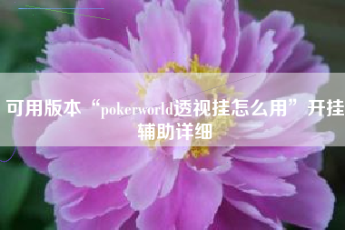 可用版本“pokerworld透视挂怎么用	”开挂辅助详细