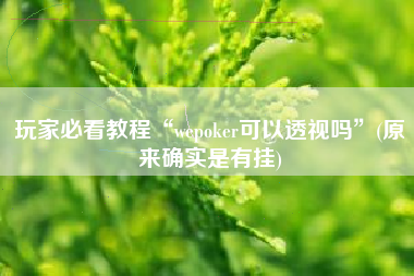 玩家必看教程“wepoker可以透视吗	”(原来确实是有挂)