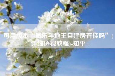 可用版本“微乐斗地主自建房有挂吗	”(详细透视教程)-知乎