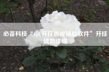 必备科技“wpk开挂透视辅助软件”开挂辅助详细