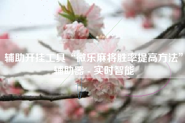 辅助开挂工具“微乐麻将胜率提高方法”辅助器 - 实时智能