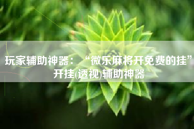 玩家辅助神器：“微乐麻将开免费的挂”开挂(透视)辅助神器