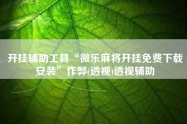 开挂辅助工具“微乐麻将开挂免费下载安装”作弊(透视)透视辅助