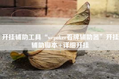 开挂辅助工具“wepoker看牌辅助器	”开挂辅助脚本+详细开挂